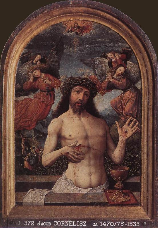 CORNELISZ VAN OOSTSANEN, Jacob Man of Sorrows dfg oil painting image